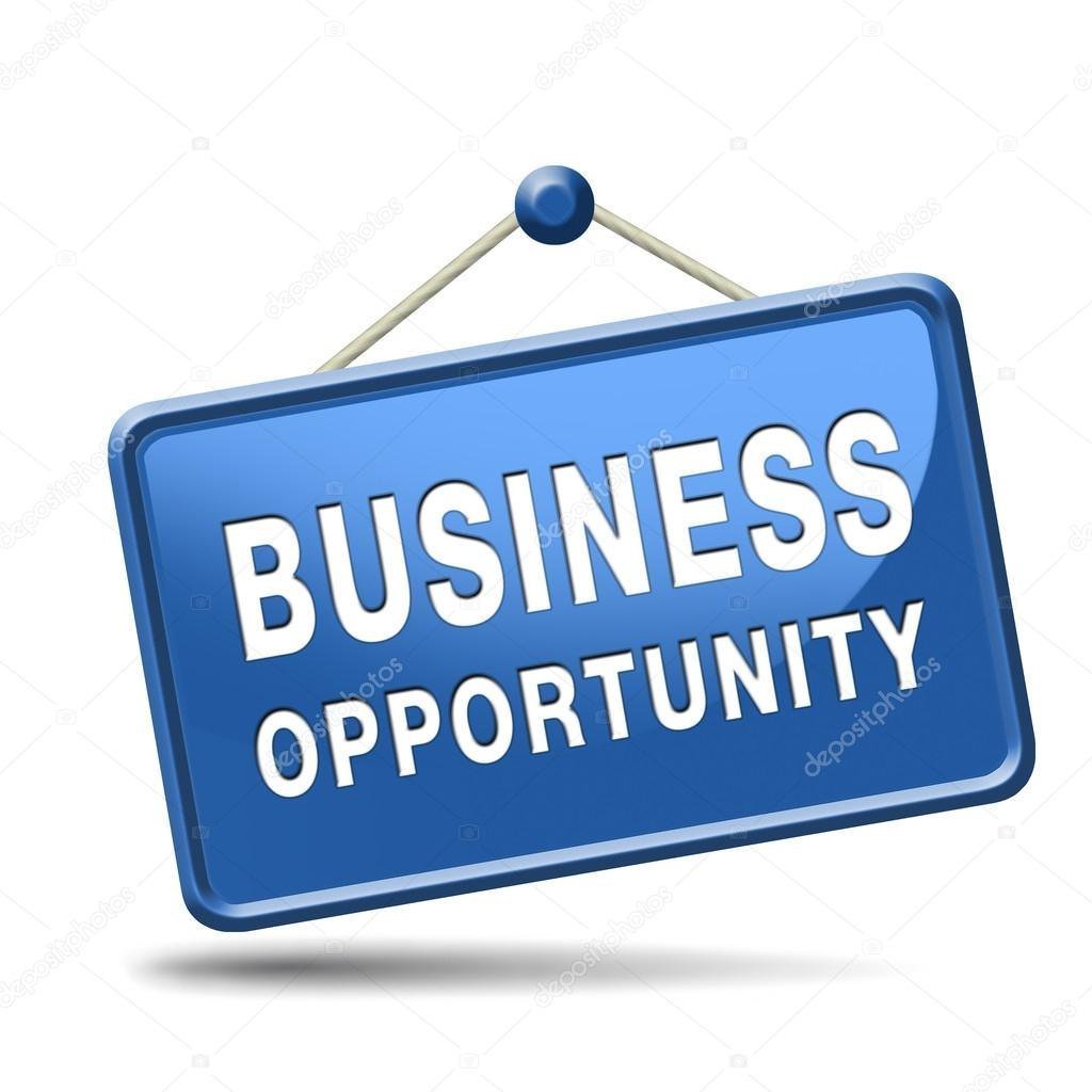 PVNJ Future Business Plan